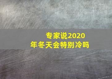 专家说2020年冬天会特别冷吗