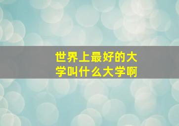 世界上最好的大学叫什么大学啊