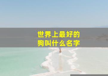 世界上最好的狗叫什么名字