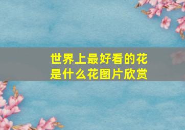 世界上最好看的花是什么花图片欣赏