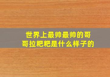 世界上最帅最帅的哥哥拉粑粑是什么样子的