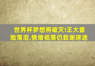 世界杯梦想将破灭!王大雷险落泪,情绪低落仍致谢球迷