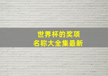 世界杯的奖项名称大全集最新