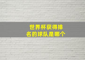 世界杯获得排名的球队是哪个