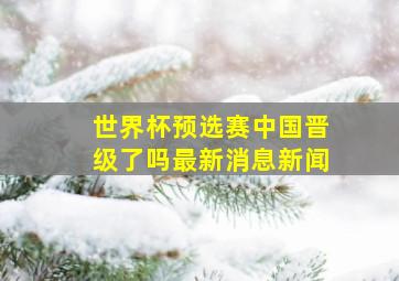 世界杯预选赛中国晋级了吗最新消息新闻