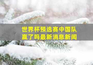 世界杯预选赛中国队赢了吗最新消息新闻