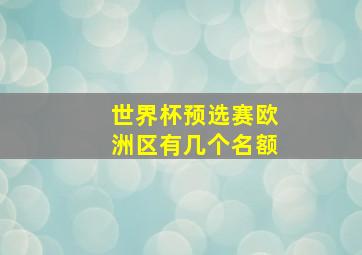 世界杯预选赛欧洲区有几个名额