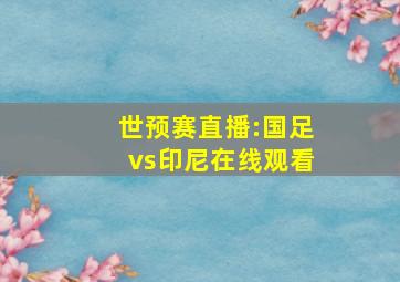 世预赛直播:国足vs印尼在线观看