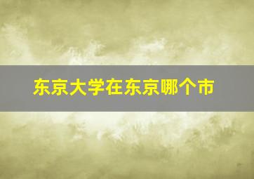 东京大学在东京哪个市