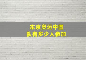 东京奥运中国队有多少人参加