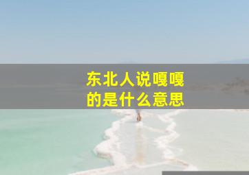 东北人说嘎嘎的是什么意思