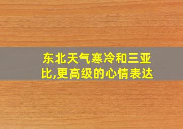 东北天气寒冷和三亚比,更高级的心情表达