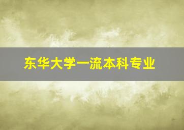 东华大学一流本科专业