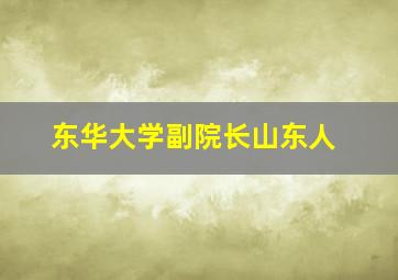 东华大学副院长山东人