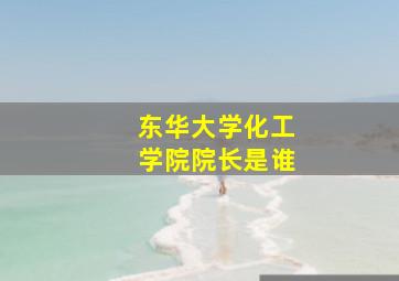 东华大学化工学院院长是谁