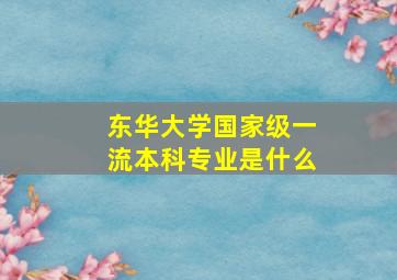 东华大学国家级一流本科专业是什么