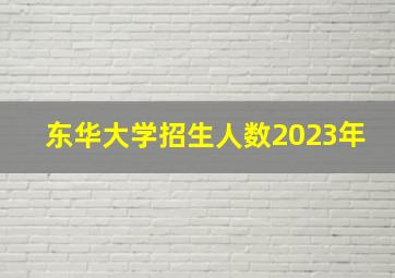 东华大学招生人数2023年