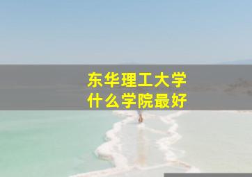 东华理工大学什么学院最好