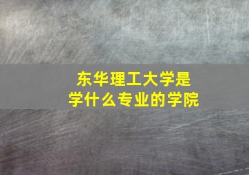 东华理工大学是学什么专业的学院