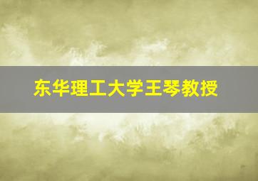 东华理工大学王琴教授