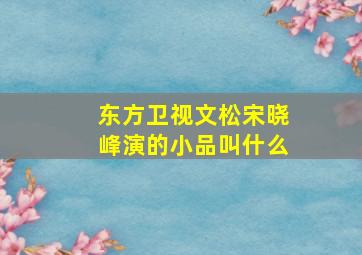 东方卫视文松宋晓峰演的小品叫什么