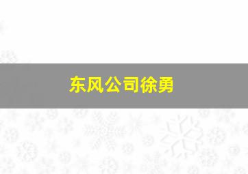 东风公司徐勇