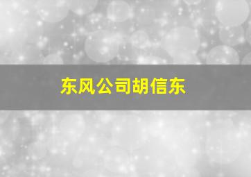 东风公司胡信东