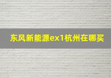 东风新能源ex1杭州在哪买