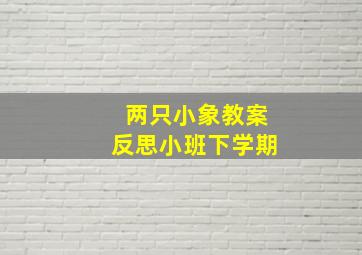 两只小象教案反思小班下学期