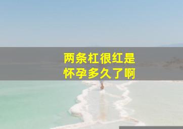 两条杠很红是怀孕多久了啊