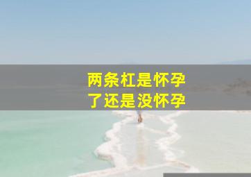 两条杠是怀孕了还是没怀孕