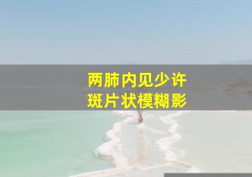 两肺内见少许斑片状模糊影