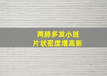 两肺多发小斑片状密度增高影