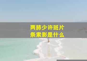 两肺少许斑片条索影是什么