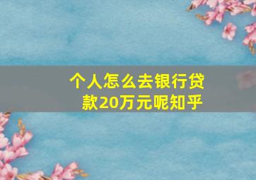 个人怎么去银行贷款20万元呢知乎