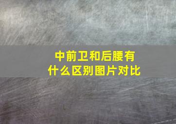 中前卫和后腰有什么区别图片对比