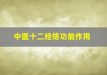 中医十二经络功能作用