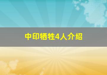 中印牺牲4人介绍