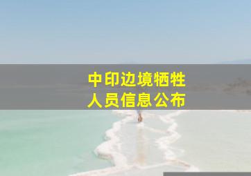 中印边境牺牲人员信息公布