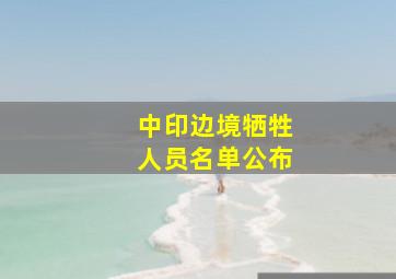 中印边境牺牲人员名单公布