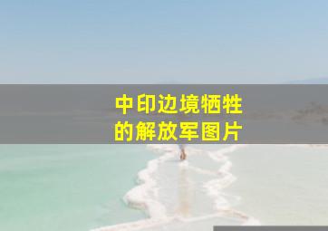 中印边境牺牲的解放军图片