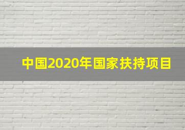 中国2020年国家扶持项目