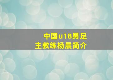 中国u18男足主教练杨晨简介