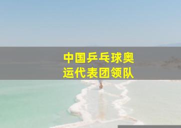 中国乒乓球奥运代表团领队