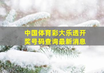 中国体育彩大乐透开奖号码查询最新消息