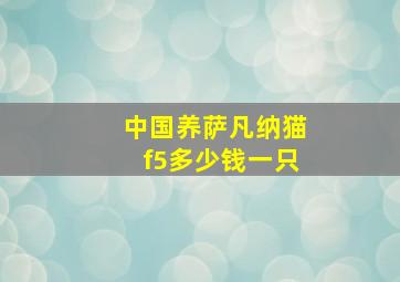 中国养萨凡纳猫f5多少钱一只