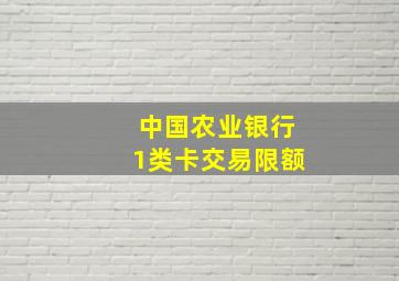 中国农业银行1类卡交易限额