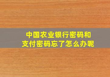 中国农业银行密码和支付密码忘了怎么办呢