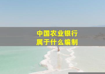 中国农业银行属于什么编制