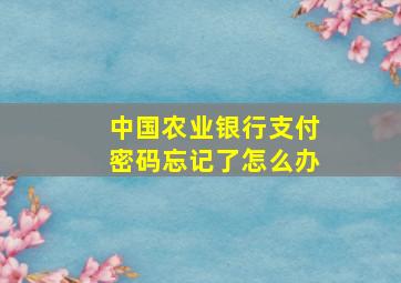 中国农业银行支付密码忘记了怎么办